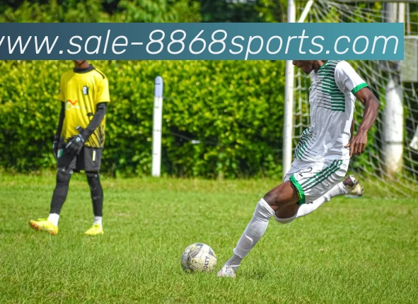 8868体育平台生态图